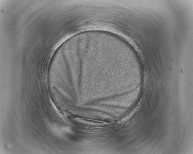 X0000085811513200704091553