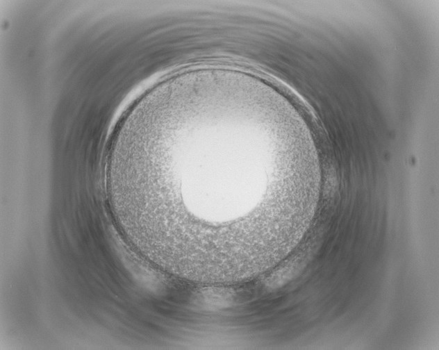 X0000085811514200704091553