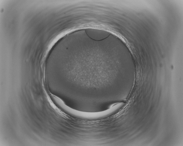 X0000085811515200704091553