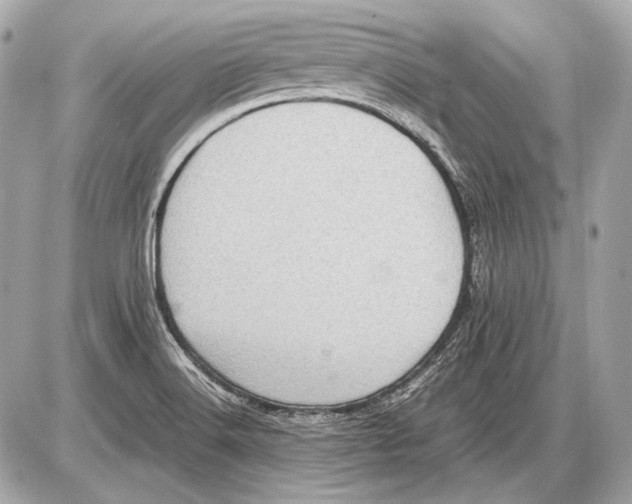 X0000085811516200704091553