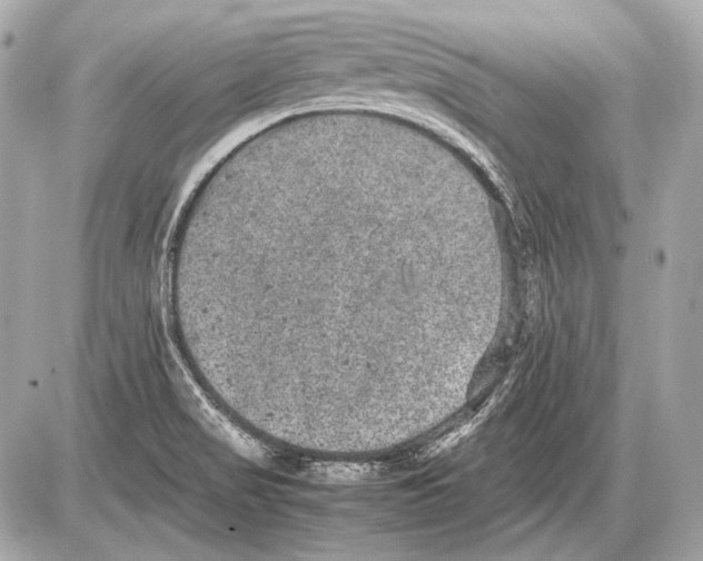 X0000085811517200704091553