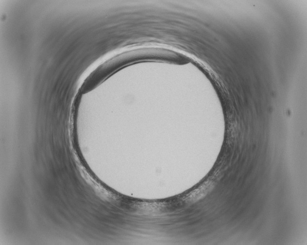 X0000085811518200704091553