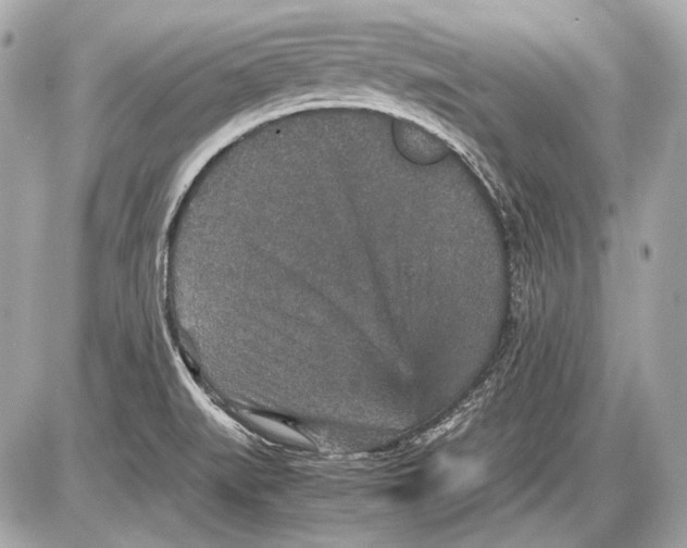 X0000085811519200704091553