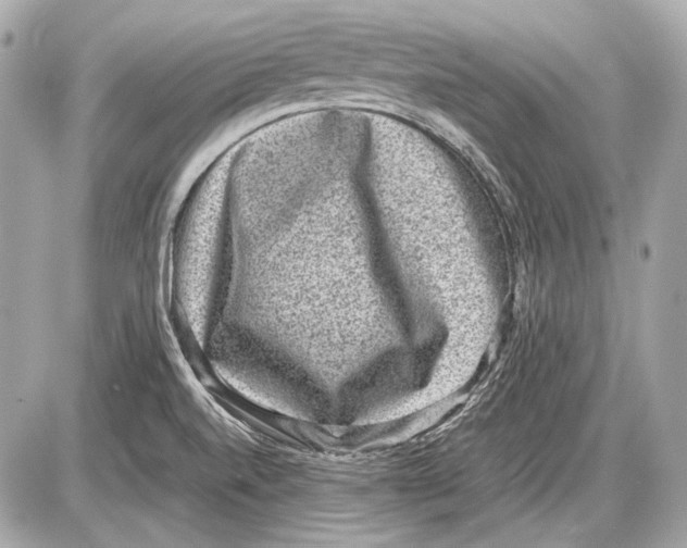 X0000085811520200704091553