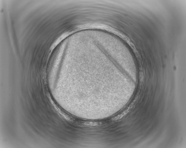 X0000085811521200704091553