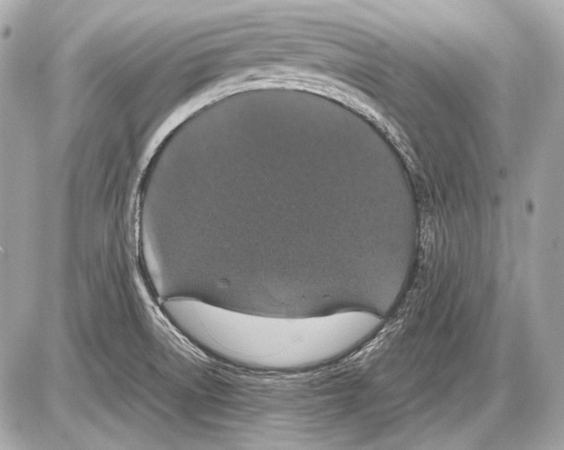 X0000085811522200704091553