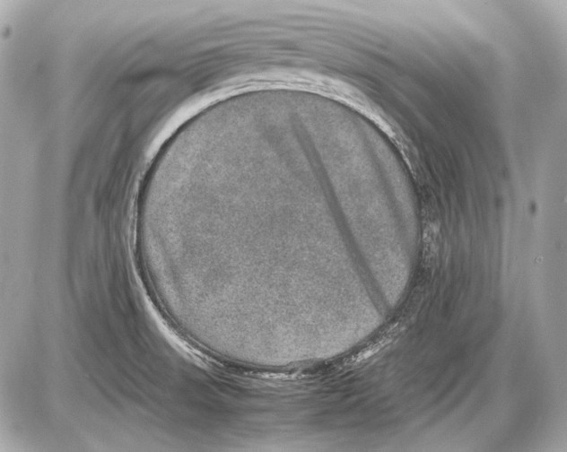 X0000085811523200704091553