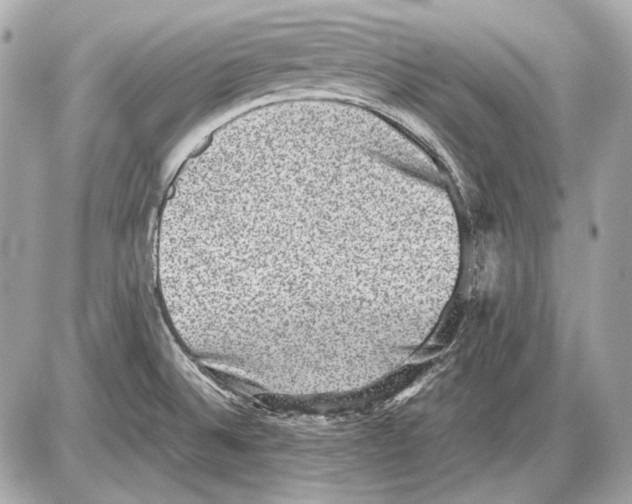 X0000085811524200704091553