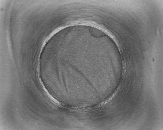 X0000085811525200704091553