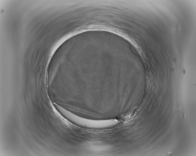 X0000085811527200704091553