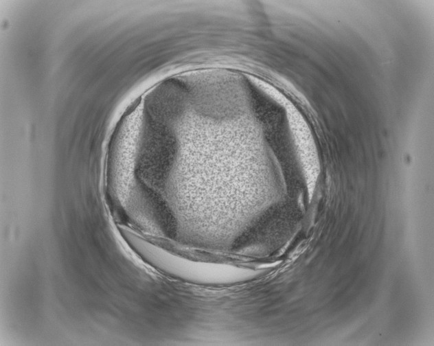 X0000085811528200704091553