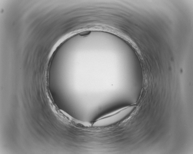 X0000085811530200704091553