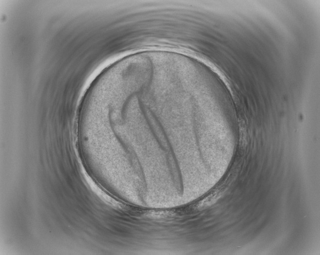 X0000085811531200704091553