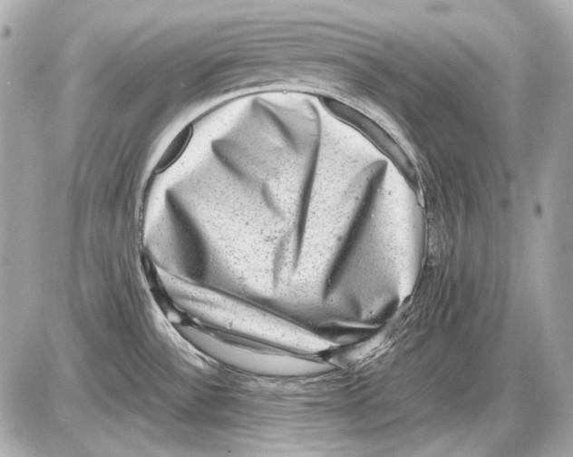 X0000085811532200704091553