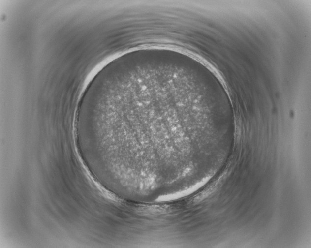 X0000085811533200704091553