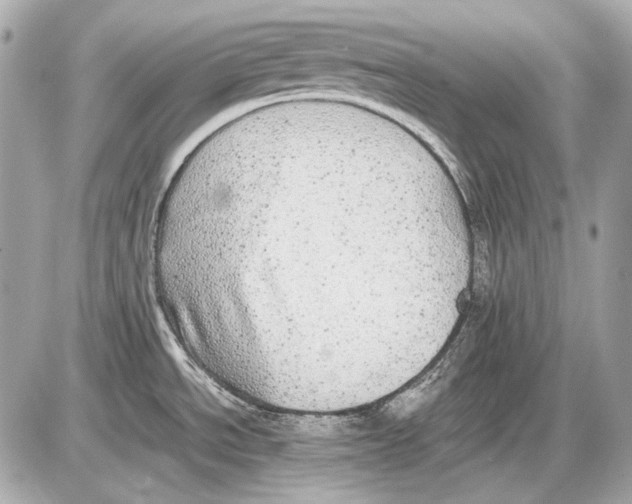 X0000085811534200704091553