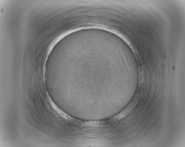 X0000085811535200704091553