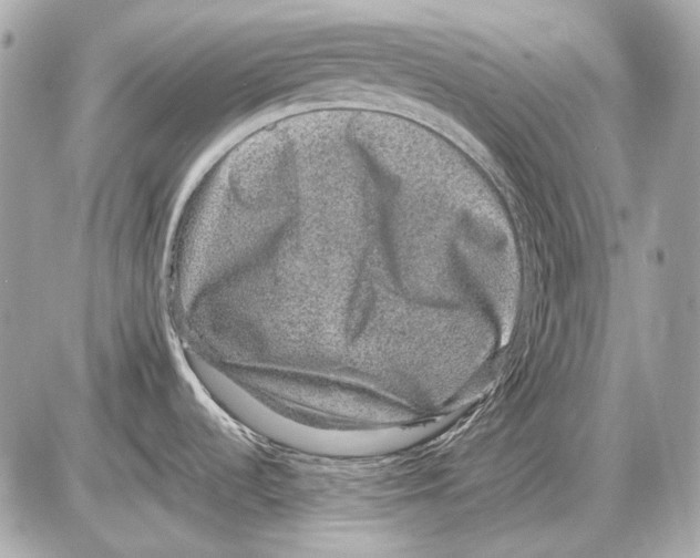 X0000085811536200704091553