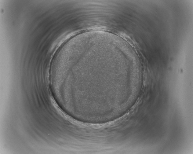 X0000085810002200704131958