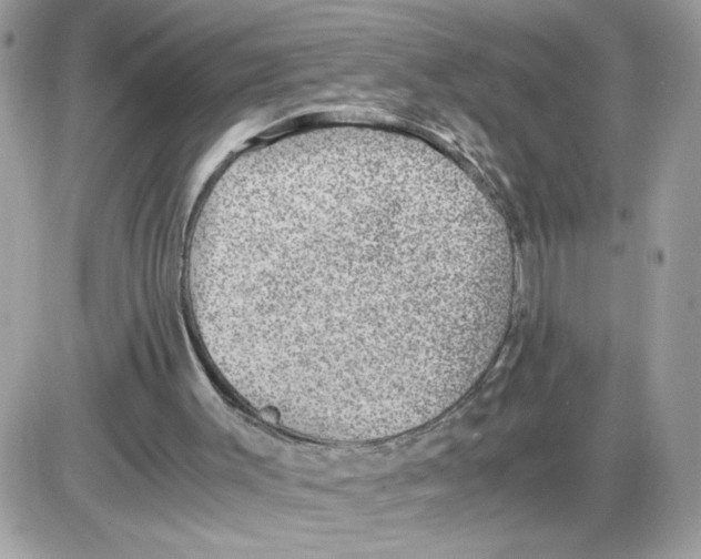 X0000085810003200704131958