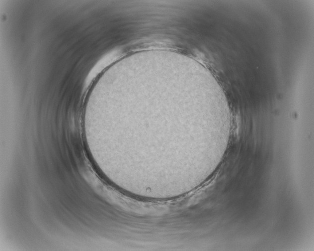 X0000085810004200704131958