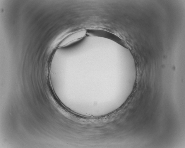 X0000085810005200704131958