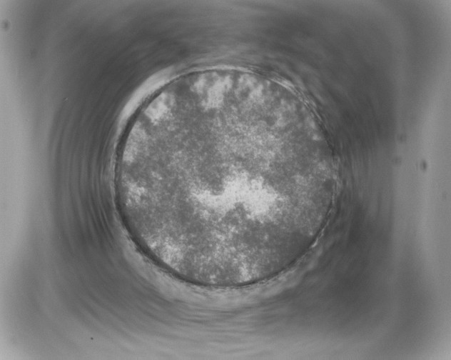 X0000085810006200704131958