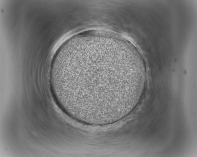 X0000085810007200704131958