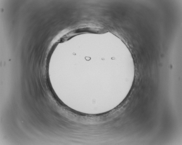 X0000085810008200704131958