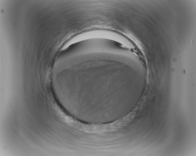 X0000085810009200704131958