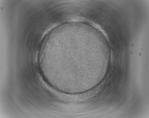 X0000085810010200704131958