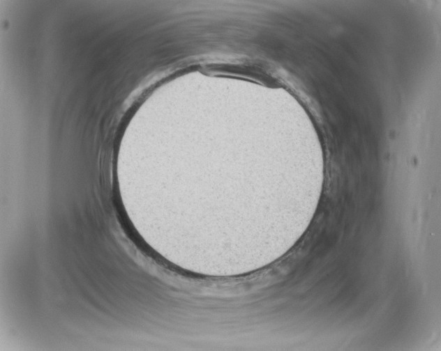 X0000085810011200704131958