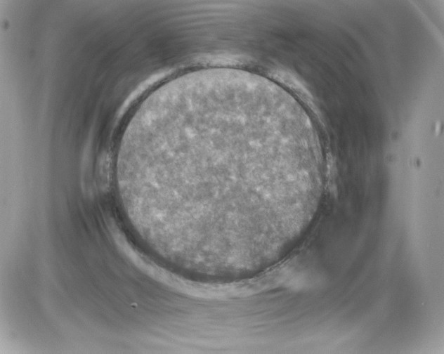 X0000085810012200704131958