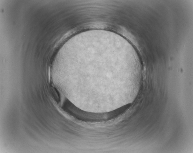 X0000085810013200704131958