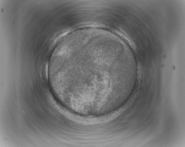 X0000085810014200704131958