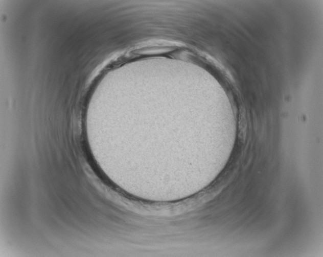 X0000085810015200704131958