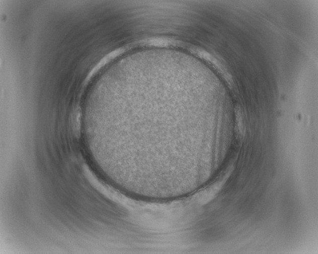 X0000085810016200704131958