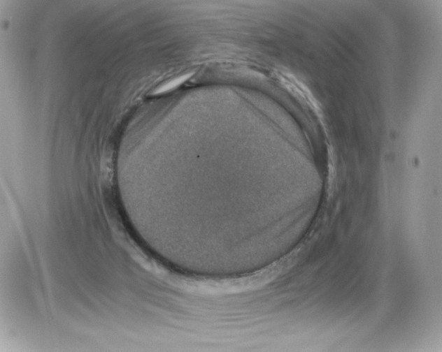 X0000085810017200704131958