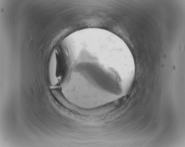 X0000085810019200704131958