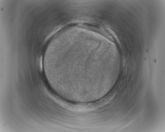 X0000085810020200704131958