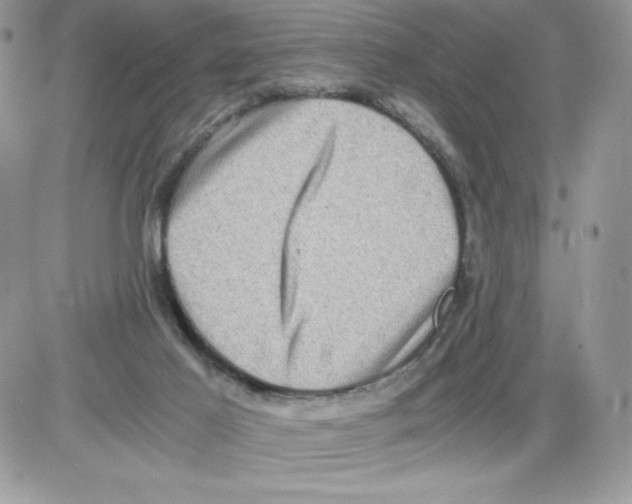 X0000085810021200704131958