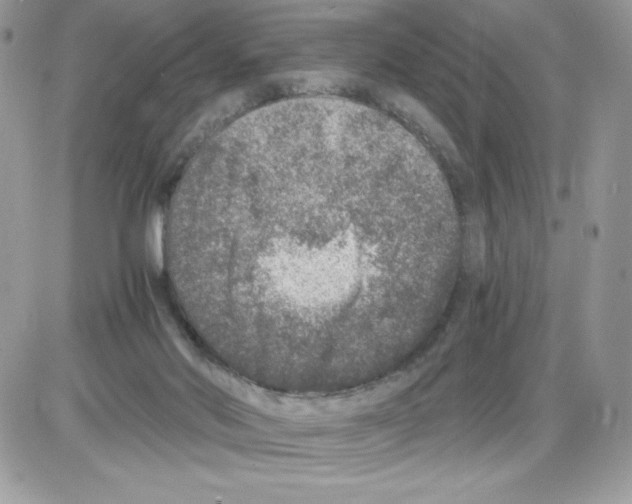 X0000085810022200704131958