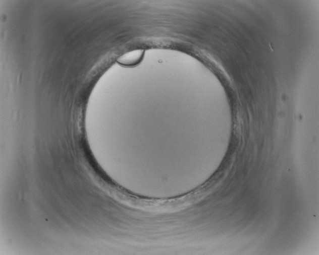 X0000085810023200704131958