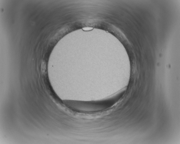 X0000085810025200704131958