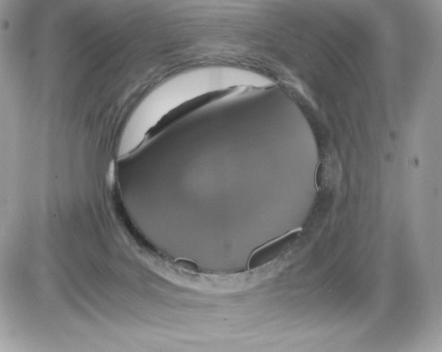 X0000085810027200704131958