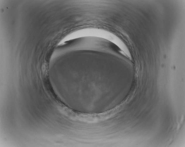 X0000085810029200704131958