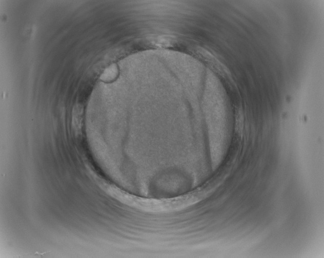 X0000085810030200704131958