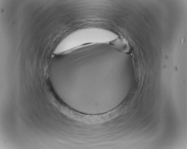 X0000085810031200704131958