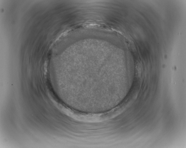 X0000085810032200704131958