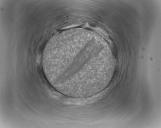 X0000085810033200704131958